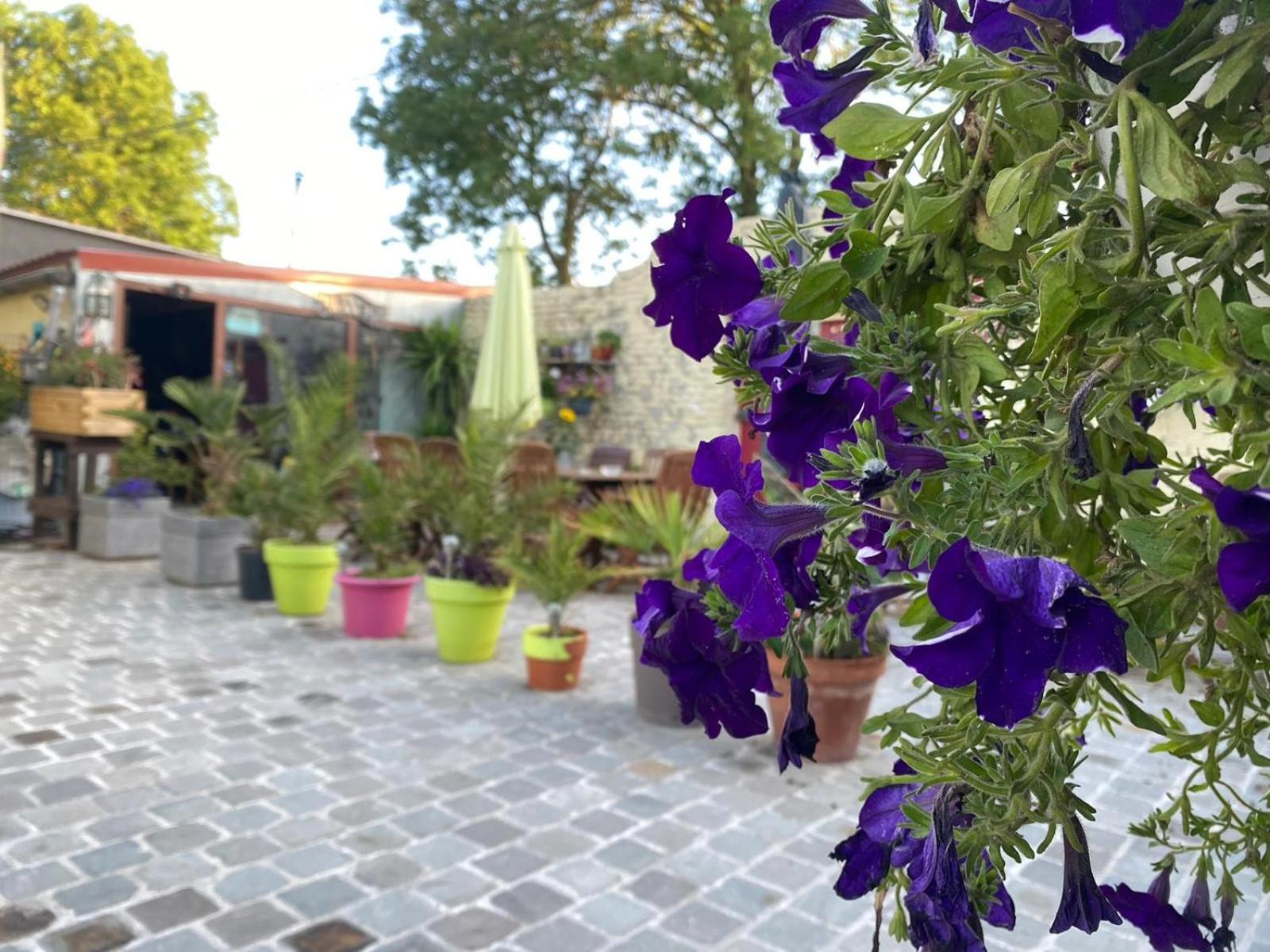 Le Relais De La Posterie Guest House Жамблу Екстериор снимка